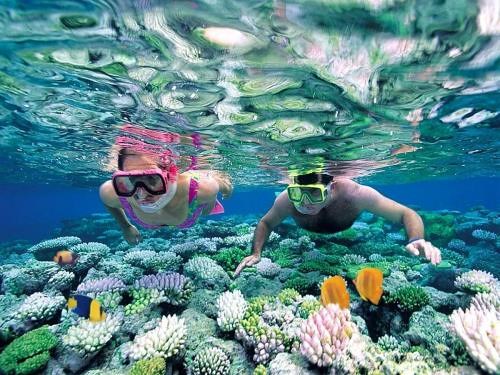 kinh nghiệm du lịch hòn Mun Nha Trang lặn ngắm san hô
